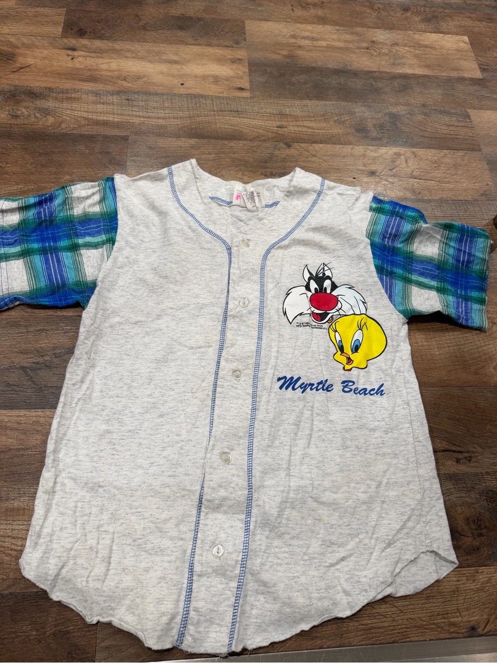 Vintage Looney Tunes shirt
